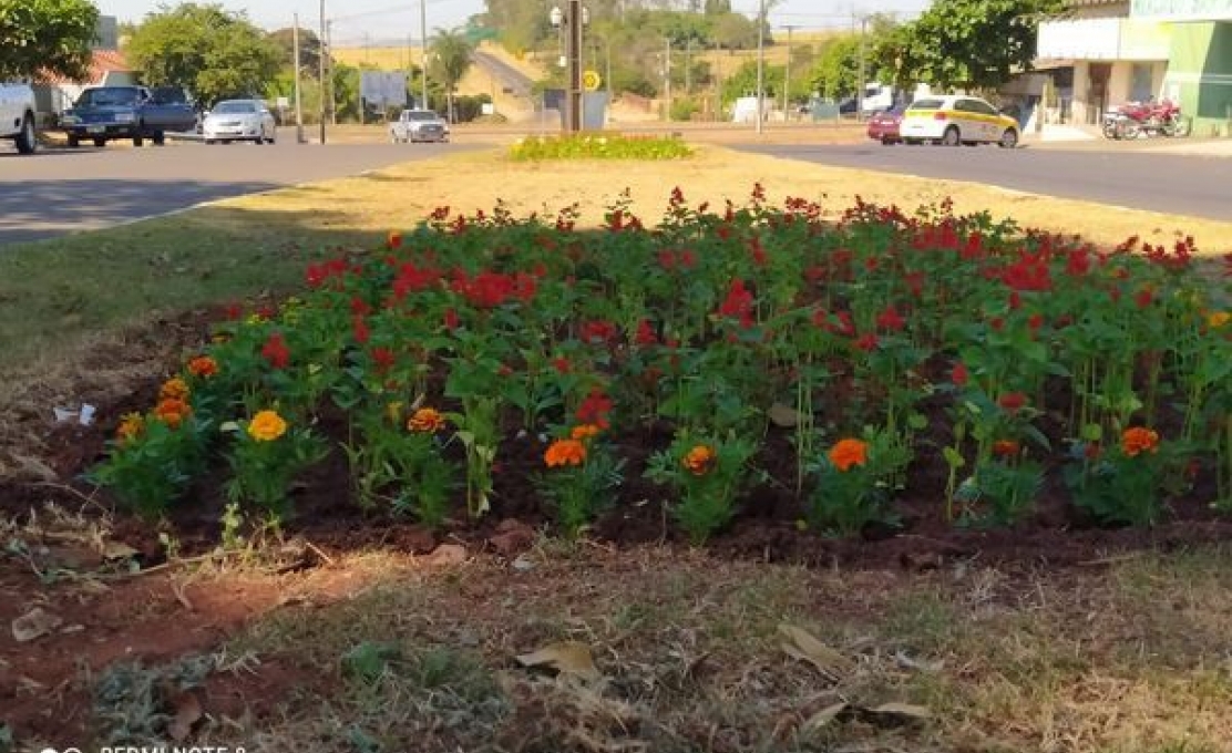 DivisÃo De Meio Ambiente Intensifica ServiÇos De Jardinagem E Limpeza De PraÇas E ...