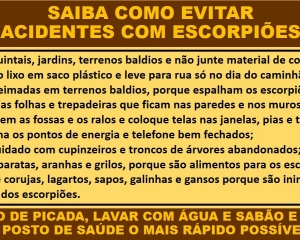 prevencao-escorpiao-2.jpg