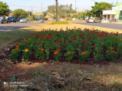 DIVISÃO DE MEIO AMBIENTE INTENSIFICA SERVIÇOS DE JARDINAGEM E LIMPEZA DE PRAÇAS E JARDINS.