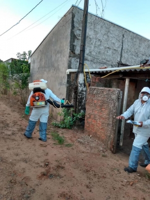Trabalhos de aplicação de UBV Costal - Ultra Baixo Volume (contra a dengue)