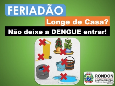 Vai viajar? Proteja sua casa do mosquito da dengue