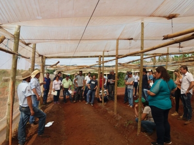 Dia De Campo – Produção Sustentável De Tomate