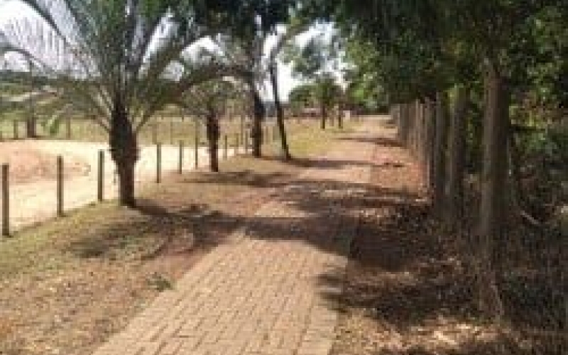 PARQUES E PRAÇAS PÚBLICAS CONTINUAM RECEBENDO SERVIÇOS DE LIMPEZA E MANUTENÇÃO