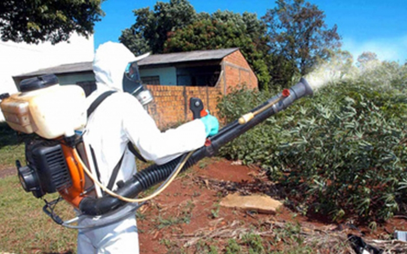 Bairros de Rondon com maior índice de infestação do mosquito da dengue recebem UBV Costal